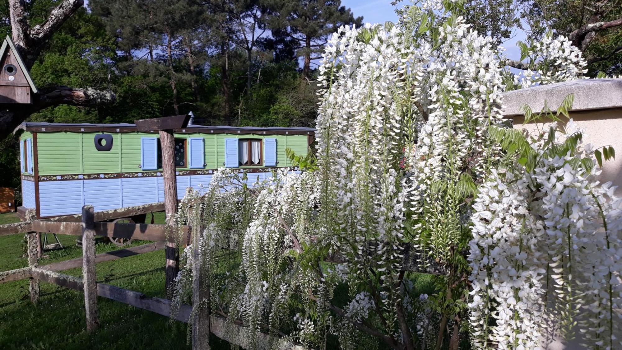 Villa Roulotte Fleur Des Champs Sigalens Esterno foto